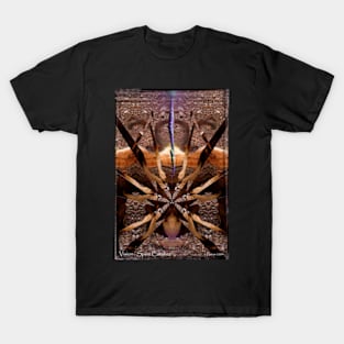 Vision: Spirit Catcher T-Shirt